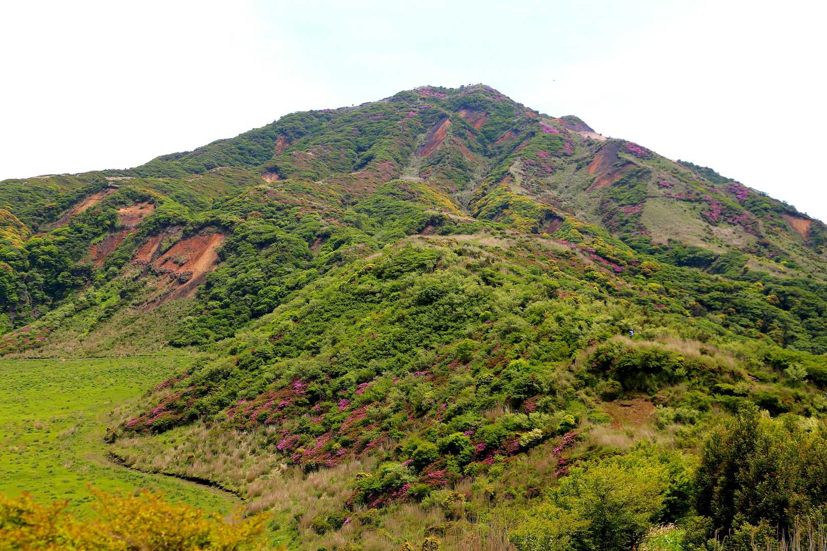 烏帽子岳周回 | 草千里ヶ浜と噴煙を山頂で一望できる、気軽に登れる阿蘇定番コースの写真