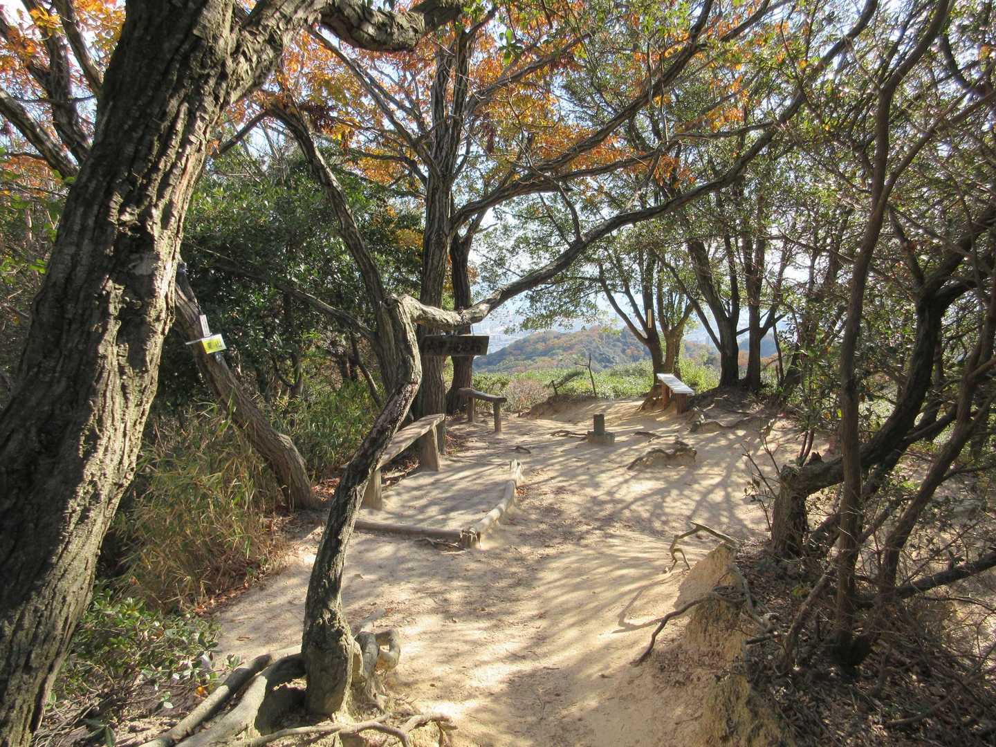 東山。