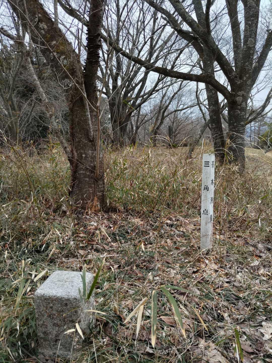 白坂山山頂