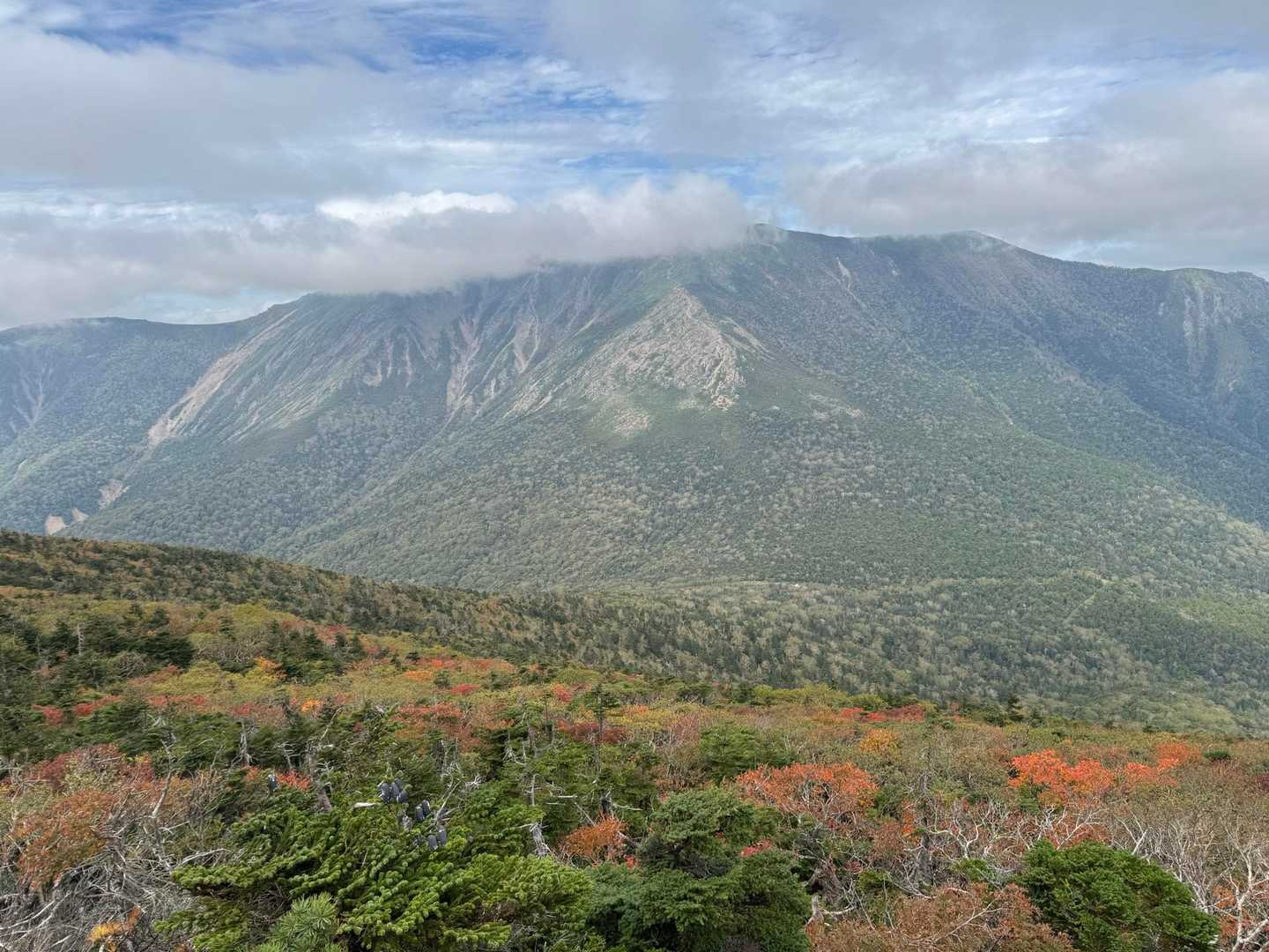 小田越-薬師岳 往復コースの写真