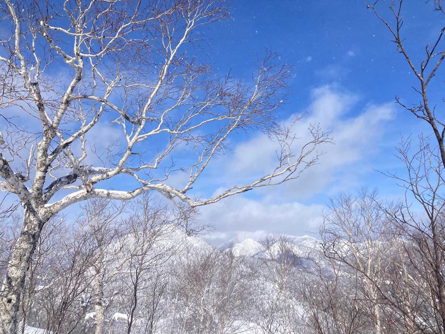 大好きなウペペがわずかな時間だけ見えました
