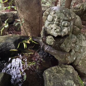 獅子の口から水が🤣