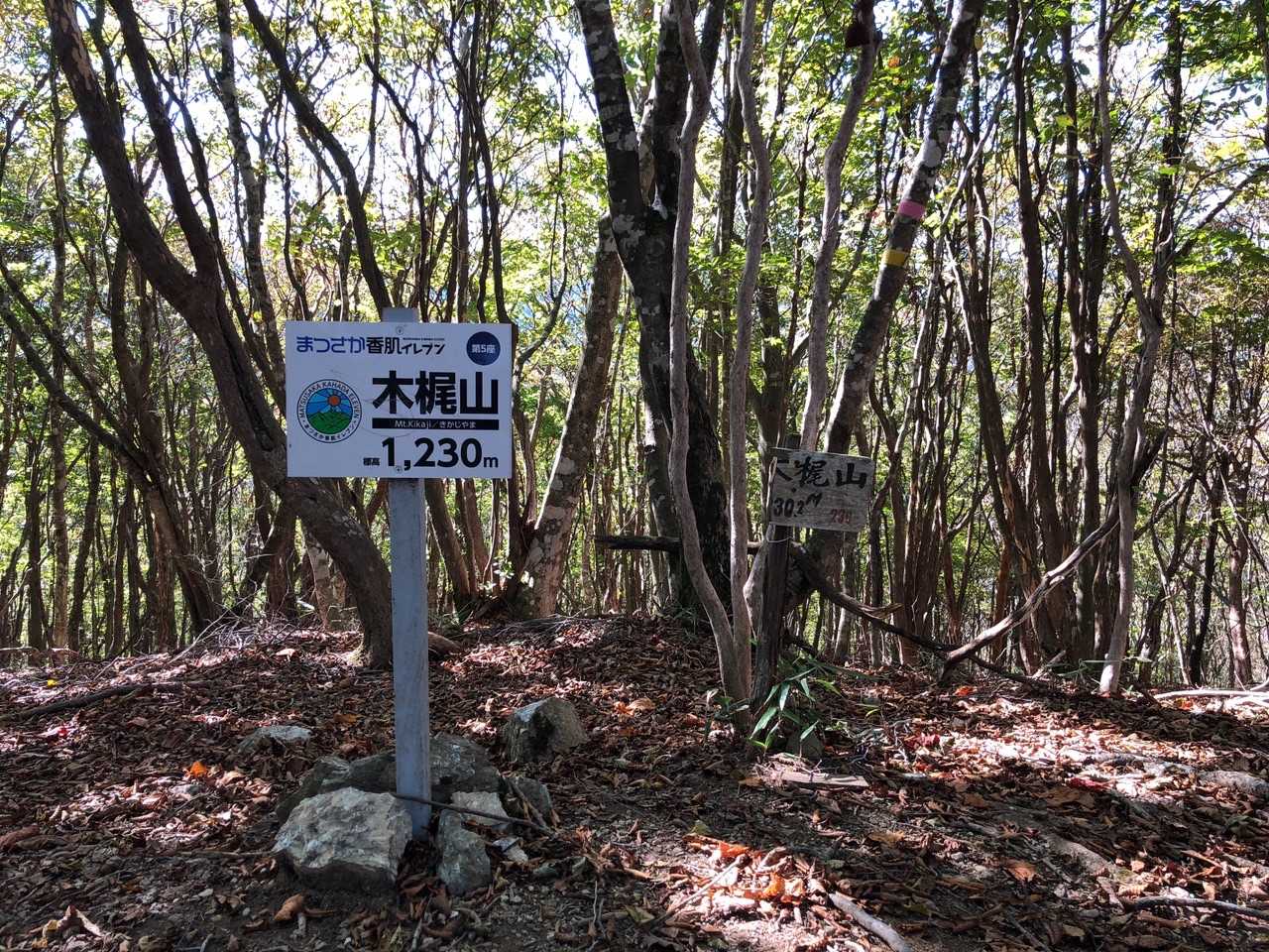 木梶山に登頂1230M
展望は無いけど綺麗やに
