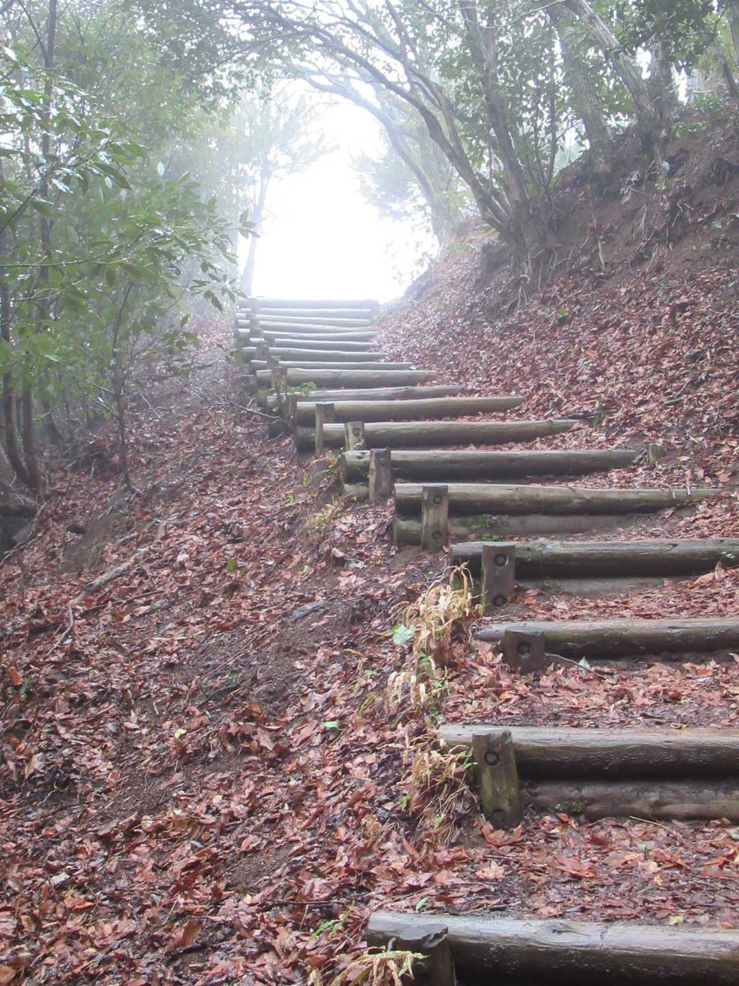 旅伏山登山口-旅伏峰 往復コースの写真