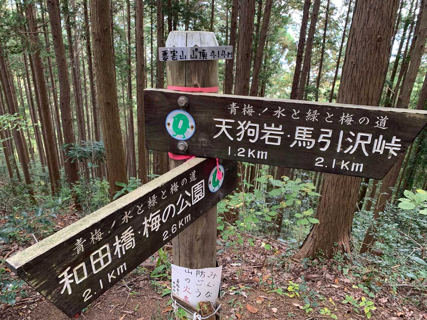 要害山山頂テープ
