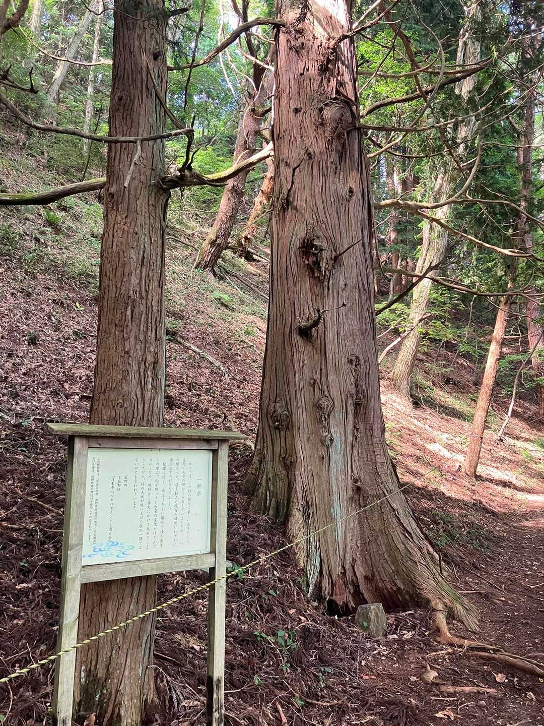 大城山登山口-大城山 往復コースの写真