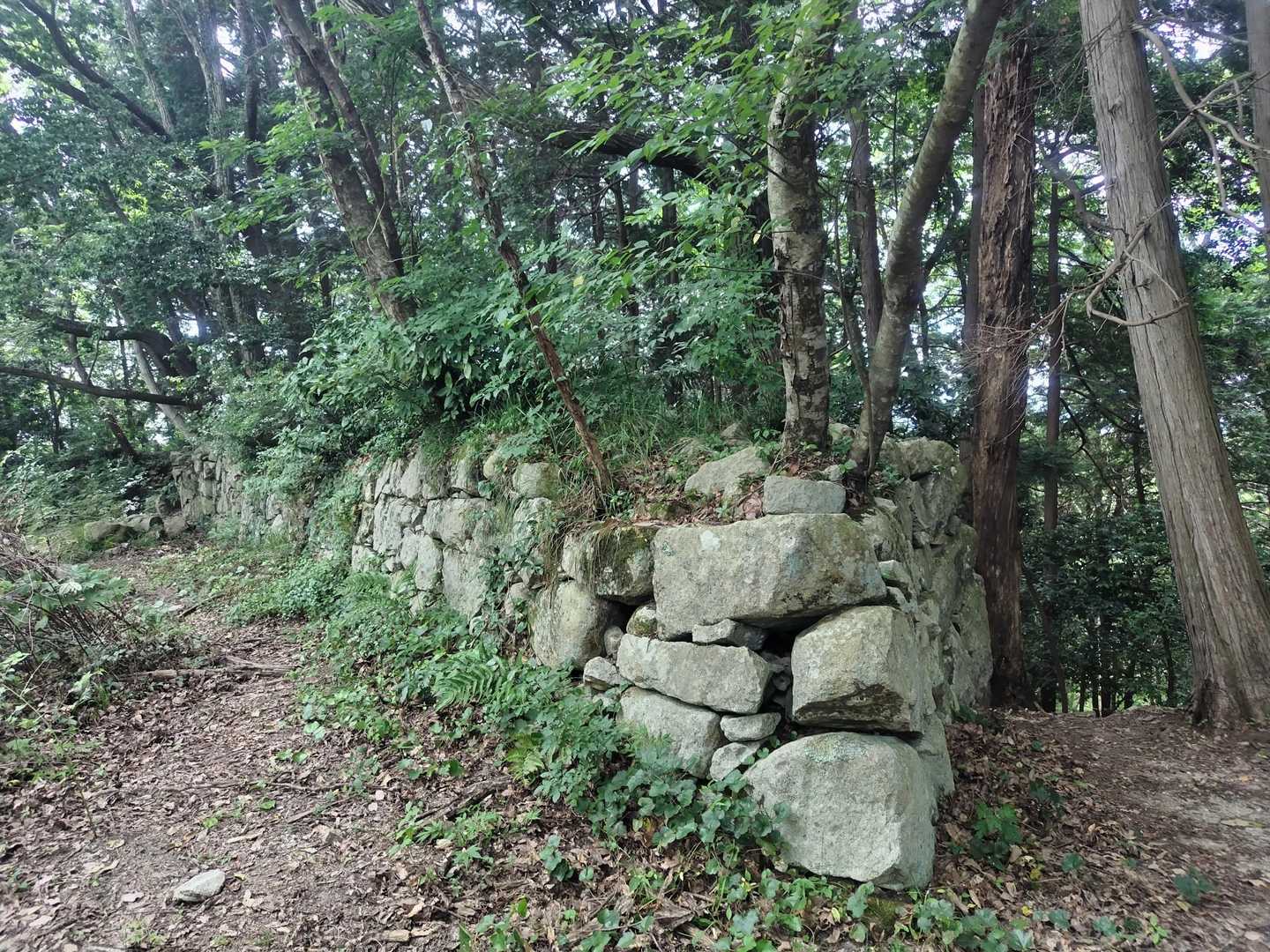 池田丸