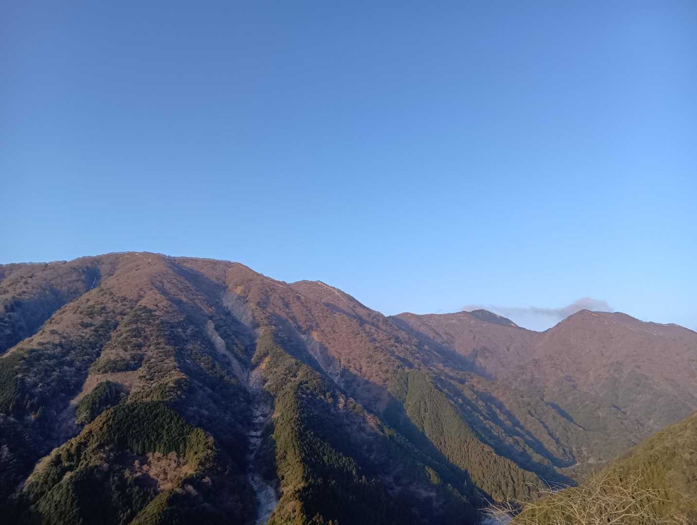 孫太尾根登山口-丸山 往復コースの写真