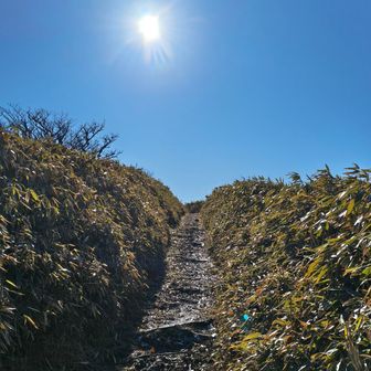 先が見たくて…足が軽くなる