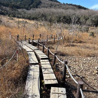 木道。初めて歩く気がするんだけどなー
