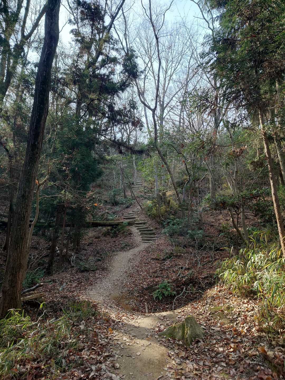なかなかの階段