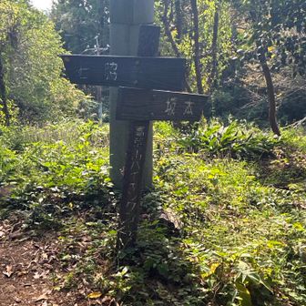 石脇ルートで下山