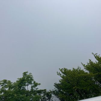 景色は真っ白