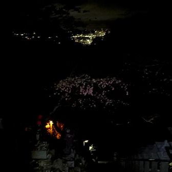 夜景最高だった
近い時にもっと沢山来たかったなあ、、

この夜景を独り占めしていると思うと
最高に幸せ