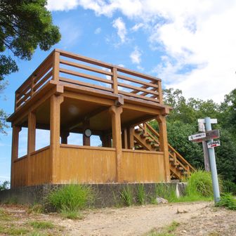 岩石山到着、鷲越峠から岩石山に登っても階段が多いからとさっきのご婦人は言われていたが、改めて意識すると確かに階段は多い