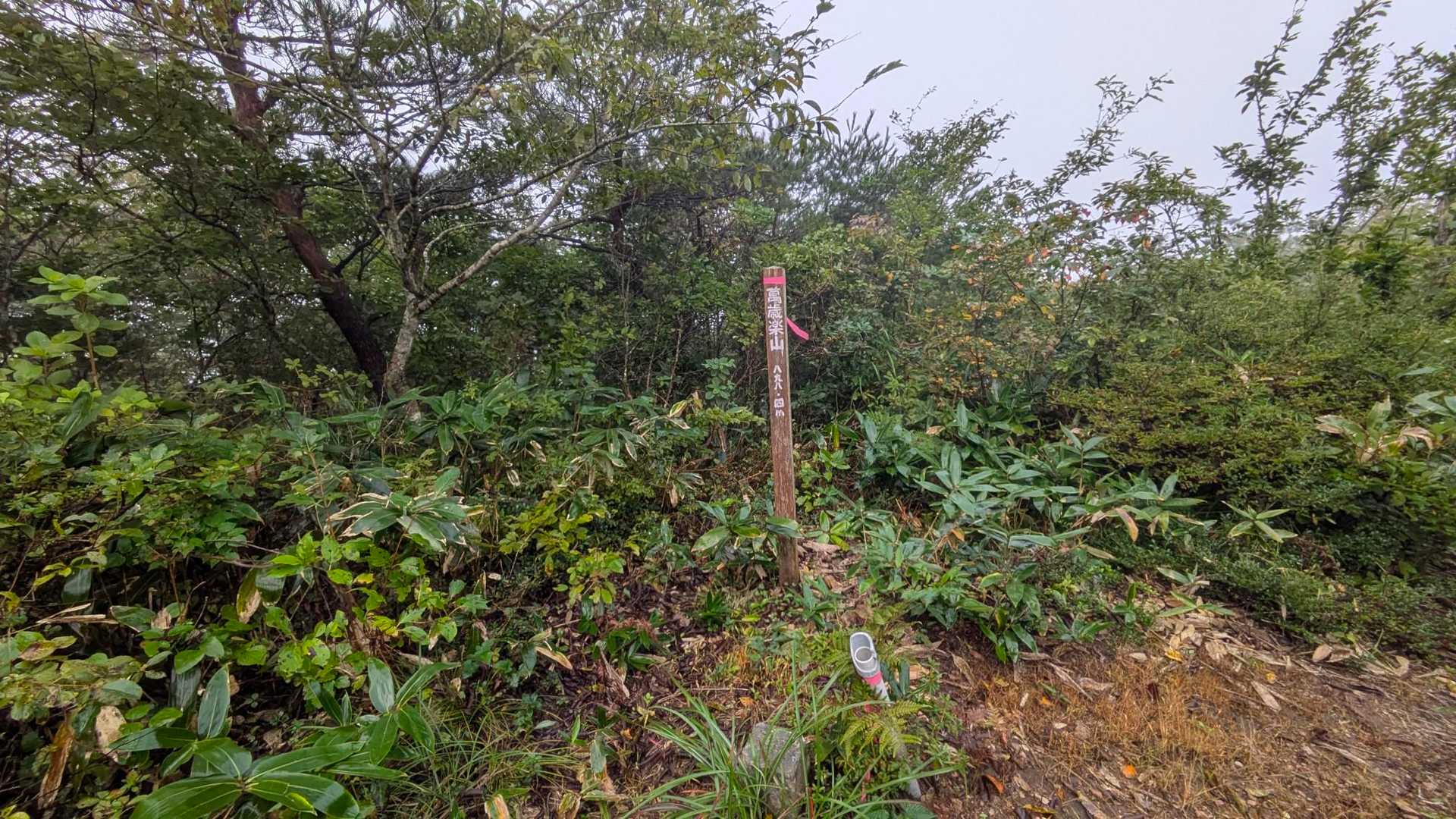 萬歳楽山登山口-萬歳楽山 往復コースの写真
