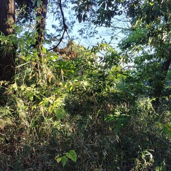 今　３６０度展望は有りません