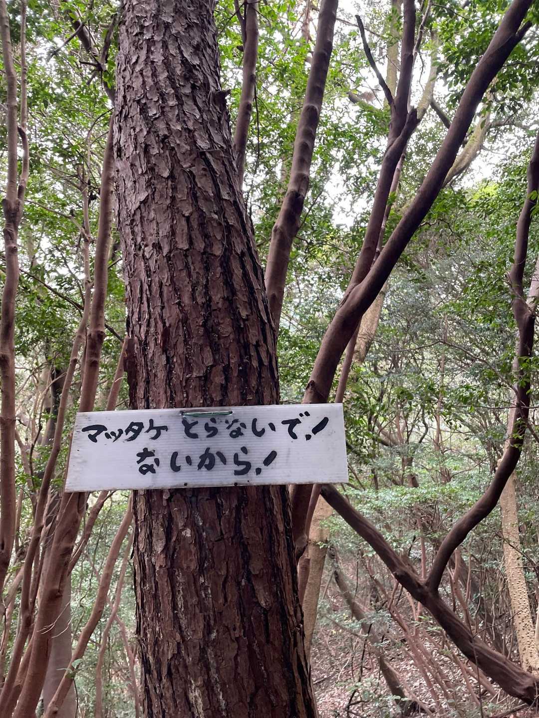 この看板が一番好き❤️