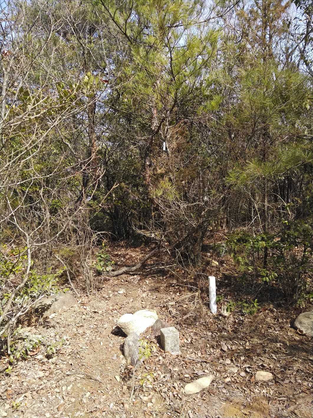 58_そしてやっと前平山ピークに到着！
ここまで長い道のりだった😆