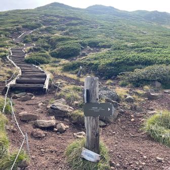 富良野岳は時間がないので下山します😅