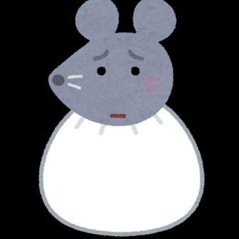 袋のねずみ