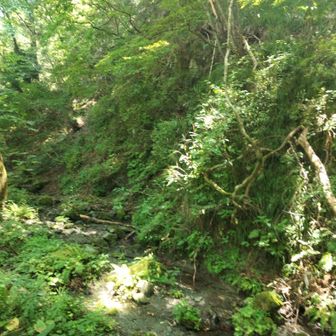 この沢沿いの崖の上の方に向けて、露天掘りがあったようです。
通行止めだったので和銅山も祝山も登れませんでしたが、YAMAPだと登ったことになっていました。