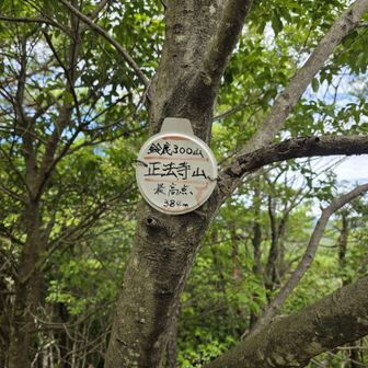 正法寺最高点