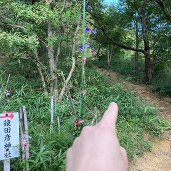 今日は猿田彦神社方面から登ります