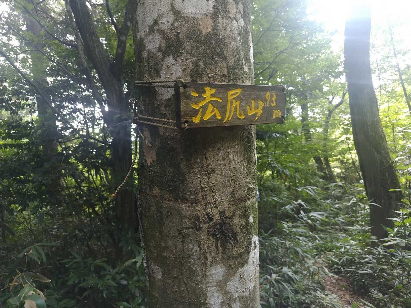 🦟に襲撃されながらピークハント