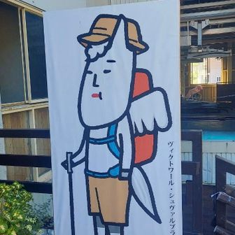 なおきゃん