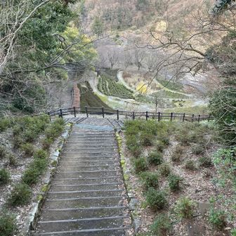 遊歩道を歩いてもうます
西側はさっきのお寺さんの墓地なので、夕日も見れず