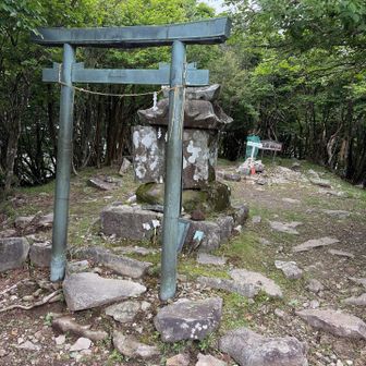 南岳到着🙏ここで昼食してたら何度かスズメバチが近づいて来ました🐝