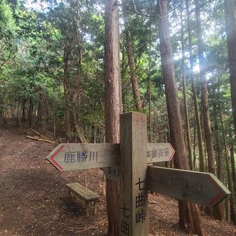 七曲峠、さっきまで8座目で半分だね言ってたのに…
気付いたらラス２(笑)(笑)