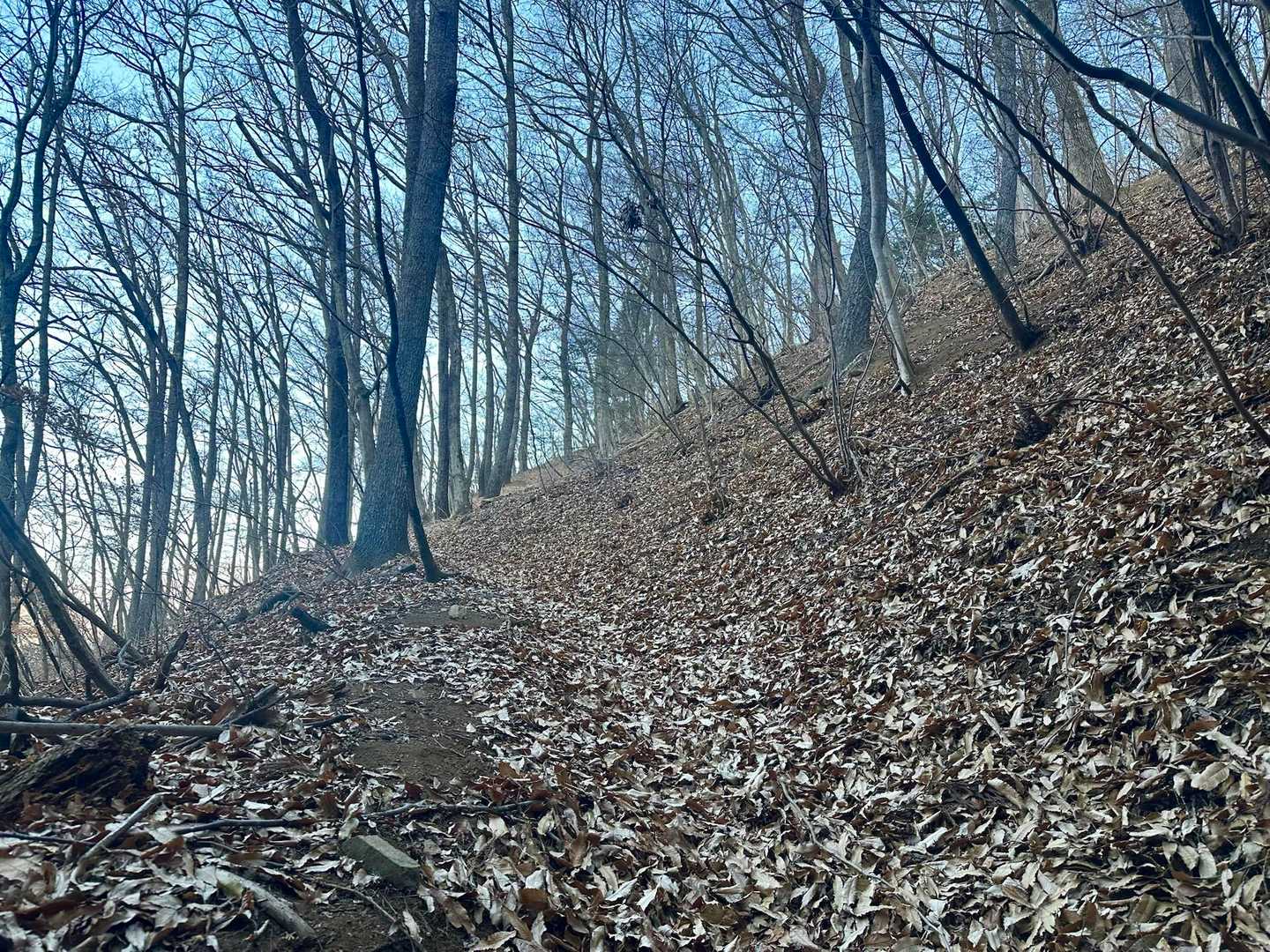 落ち葉🍂ふかふかで滑ります💦