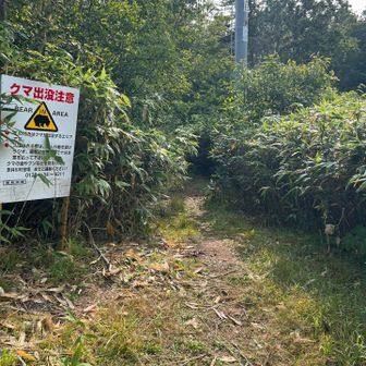 ここが登山道入り口