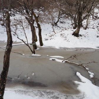 仙香山近くの池