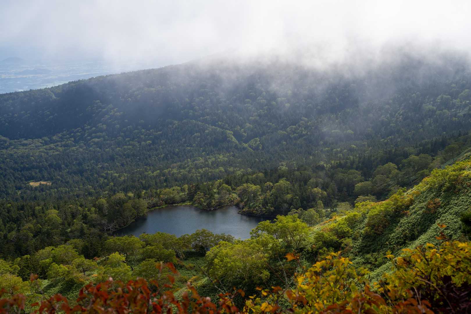 裏岩手連峰登山口-畚岳-諸檜岳-前諸桧-嶮岨森-大深岳-小 縦走コースの写真