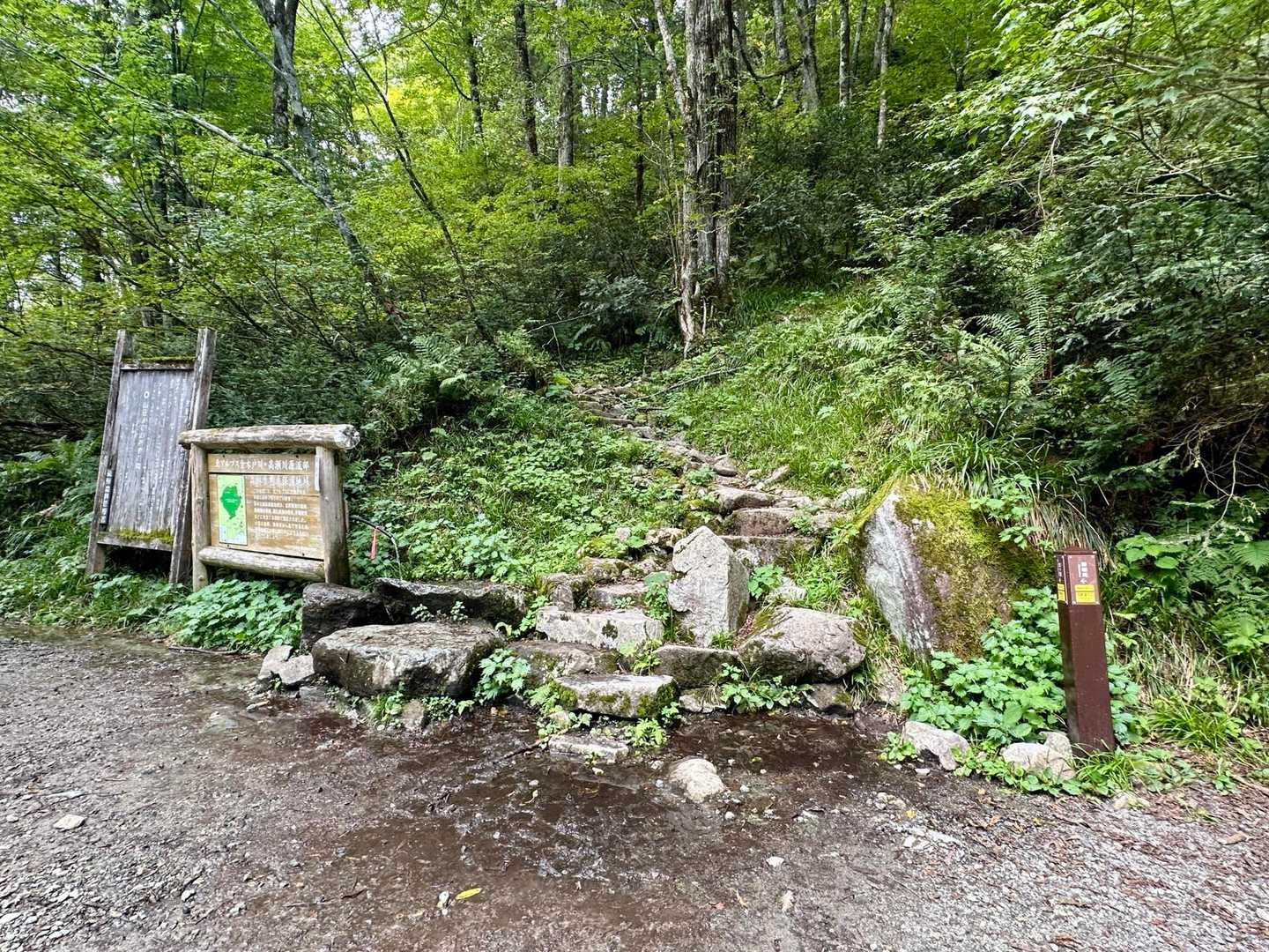 薬師岳登山口-五光岩ベンチ-太郎山-北ノ俣岳-赤木岳-中俣 縦走コースの写真