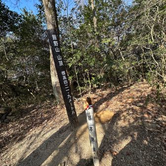 飯野山山頂　点名　飯野山　三等三角点　421.69m   
何回も来てるのに、この三角点を今日初めて見た😅