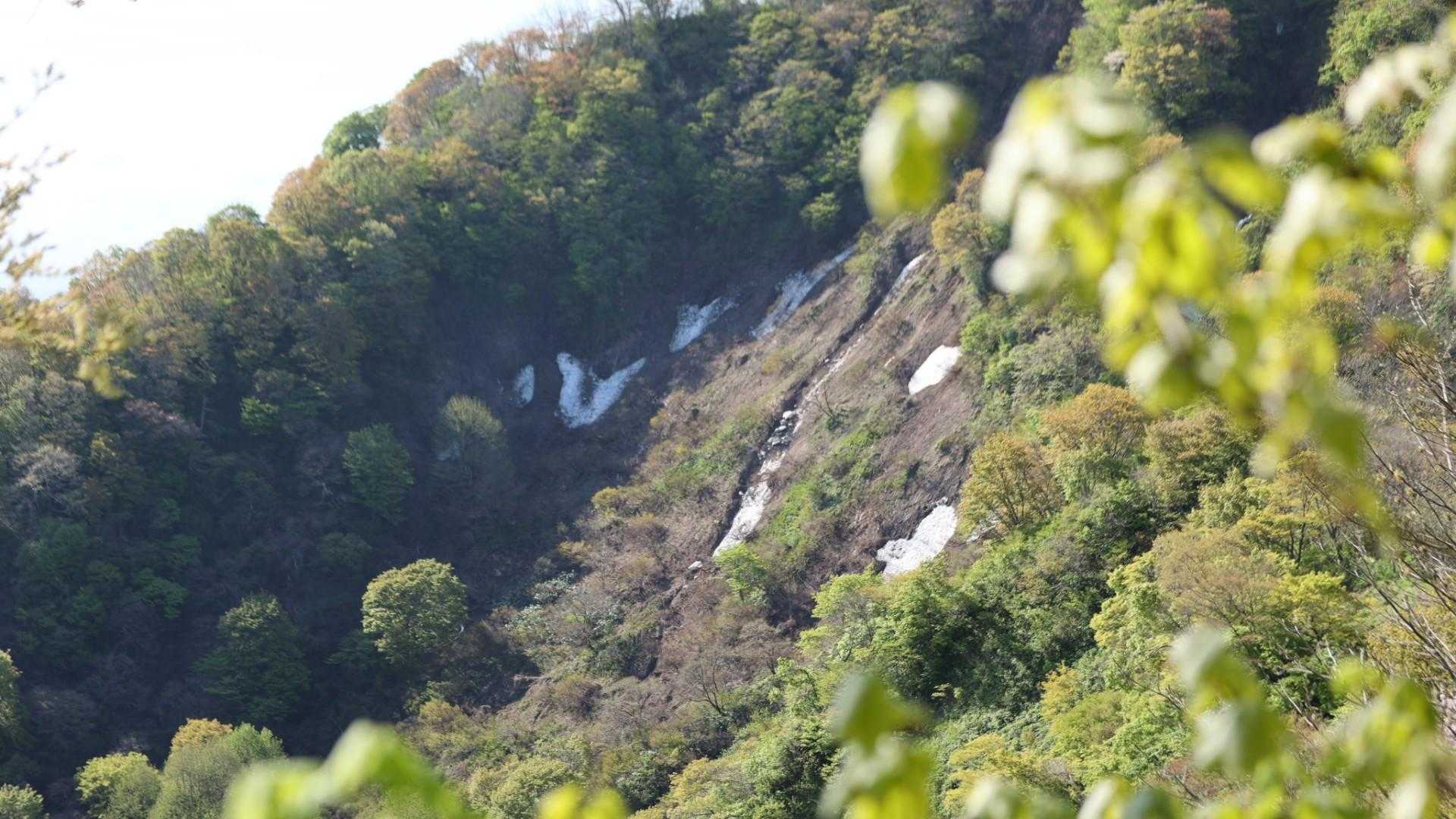 林道登山口-南条八石山-久之木峠-八石山 周回コースの写真