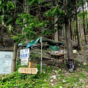 登山口
林道沿い