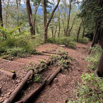 ※ココです！
丸太階段を利用できません、と看板に書いてあるのですが、写真の奥側を登って行ったらゴンジリ峠を巻いてしまいました😂
階段の横（写真の手前）を行ったら良かったんじゃないかな〜