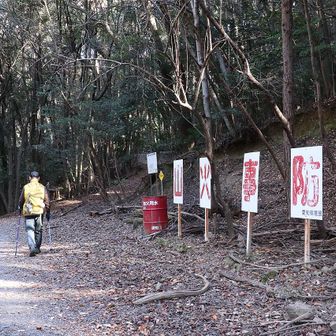 今日は自然観察路経由