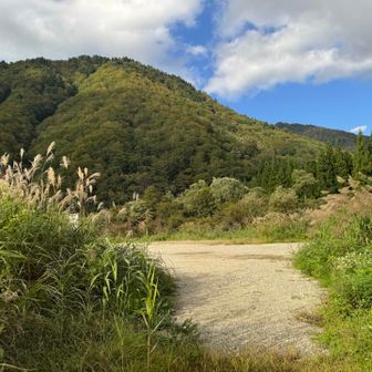 昨年はこの駐車場に停めて歩いたのだけれど、周回するなら下でいいかなと思ったから・・・