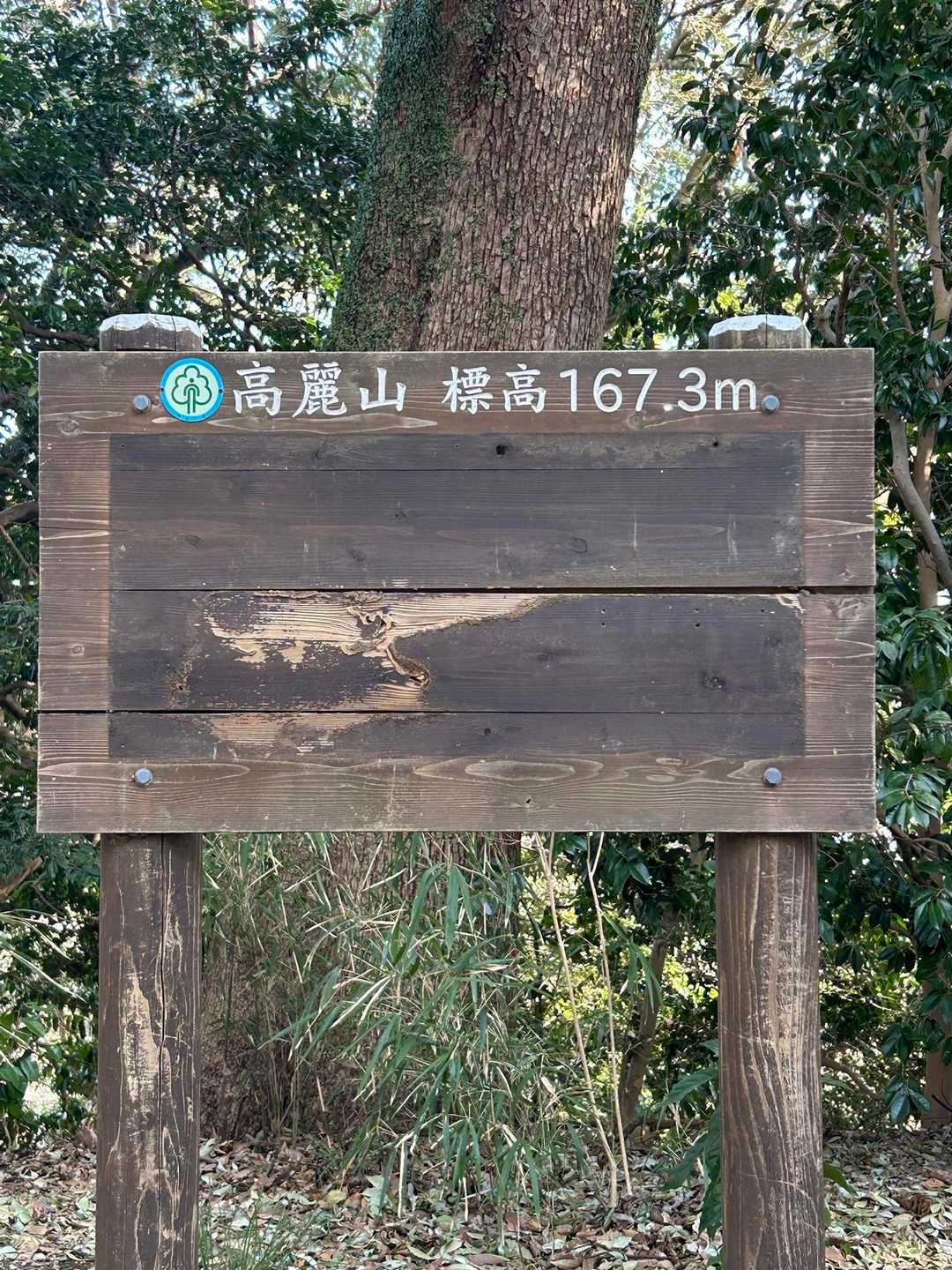 高麗山