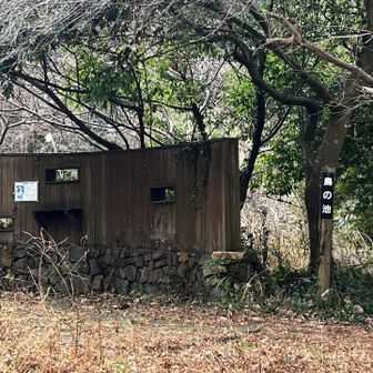 池の鳥をこっそり観察する場所