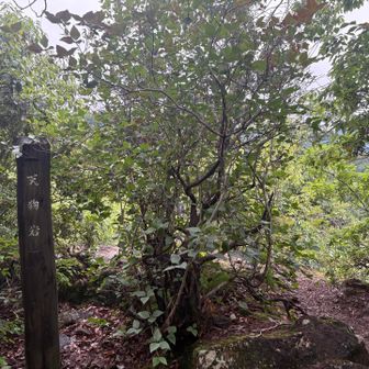 天狗岩に寄ります。
奥に行くと市街の眺望あり