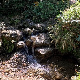 沢
登ってはいけまへん