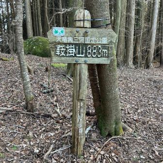 今日も頑張りました💪