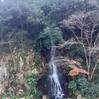 岐阜公園
から馬の背ルートで登ります🚶🏽